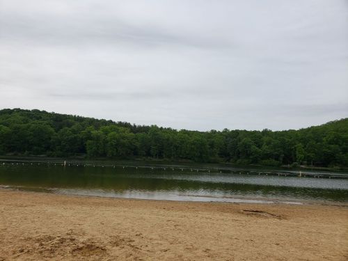 A serene lake surrounded by green trees, with a sandy beach in the foreground and a cloudy sky above.