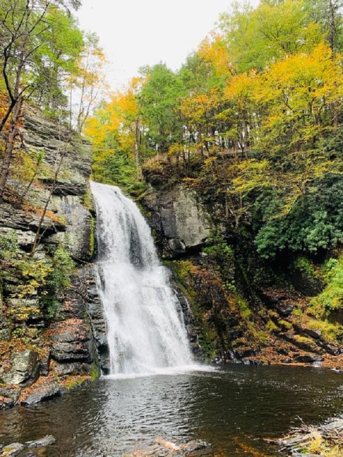 A serene waterfall cascades down rocky cliffs, surrounded by vibrant autumn foliage and a calm pool below.