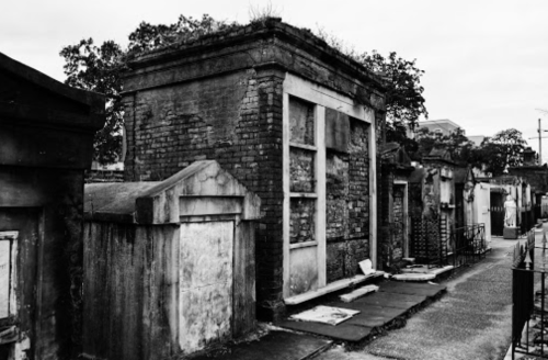 Black and white image of old, weathered tombs in a cemetery, with overgrown vegetation on some structures.