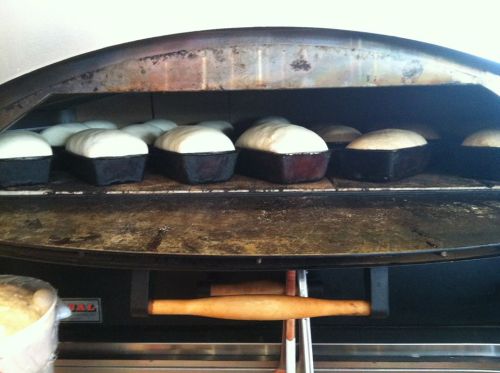 Loaves of bread rising in a commercial oven, with several baking trays lined up on the shelf.