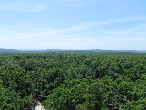 A panoramic view of lush green forests and rolling hills under a clear blue sky.