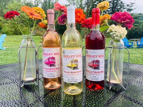 Three bottles of Trolley Barn Wine (rosé, white, and red) displayed on a table with colorful flowers in vases.