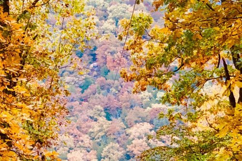 A vibrant autumn landscape with colorful leaves framing a view of a wooded valley.