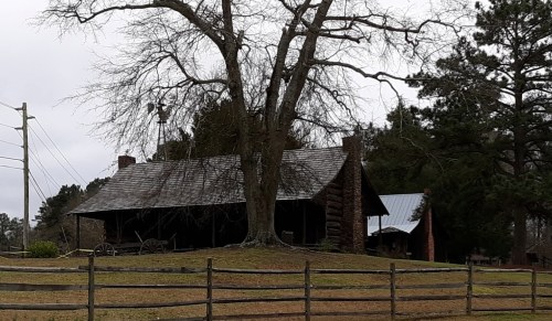 A rustic log cabin with a large tree in front, surrounded by a wooden fence and power lines in a rural setting.