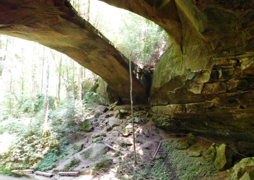 A natural rock formation with a large arch, surrounded by lush greenery and rocky terrain in a forested area.