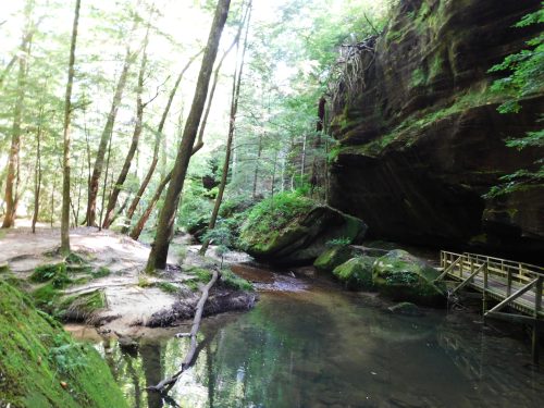 A serene forest scene with a calm stream, lush greenery, and rocky cliffs under dappled sunlight.