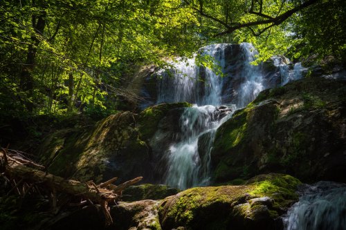 A serene waterfall cascades over moss-covered rocks, surrounded by lush green trees and dappled sunlight.