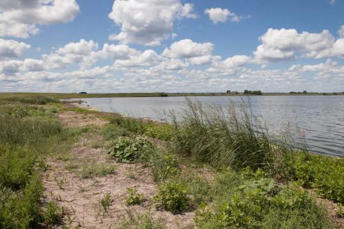 A serene lakeside view with grassy banks, lush vegetation, and fluffy clouds in a blue sky.