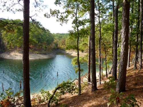 A serene lake surrounded by trees, with a sandy shore and calm water reflecting the greenery.