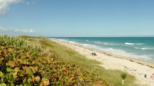 A serene beach scene with gentle waves, sandy shore, and lush greenery under a clear blue sky.