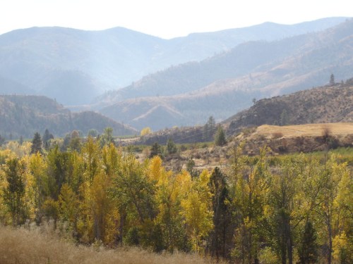 A scenic view of rolling mountains in the background, with vibrant autumn trees in the foreground.