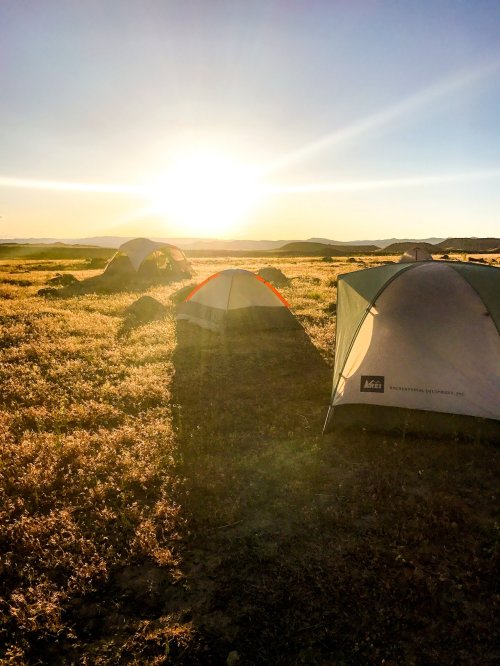 Tents set up in a grassy field at sunset, with warm sunlight illuminating the landscape.