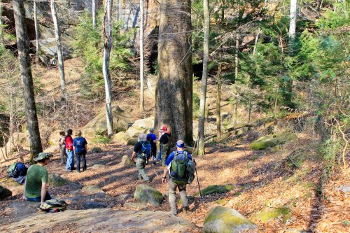 A group of hikers navigates a rocky trail surrounded by trees and foliage in a forested area.