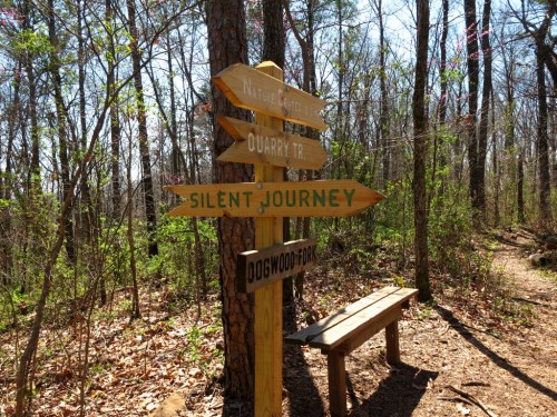Wooden signpost with directional arrows for nature trails, surrounded by trees and a bench nearby.