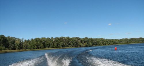 A scenic view of a river with a blue sky, green trees along the shore, and a red buoy in the water.