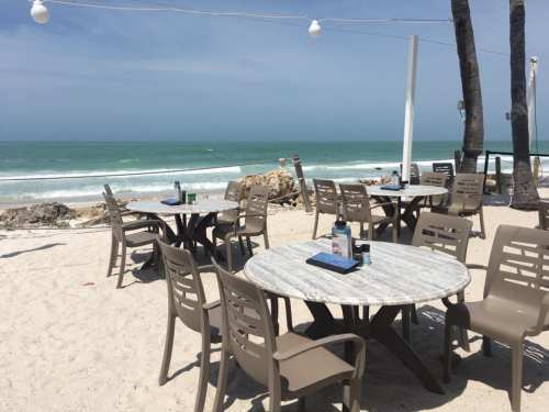Beachside dining area with empty tables overlooking the ocean and palm trees under a clear blue sky.