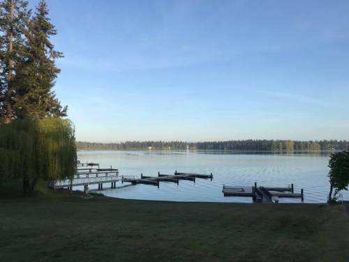 Serene lake view with docks, surrounded by trees and a clear blue sky. Reflections on calm water create a peaceful scene.