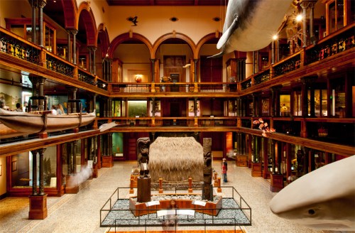 A spacious museum interior featuring exhibits, including a large whale model and various artifacts in a historic setting.