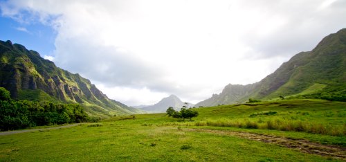 Lush green valley surrounded by mountains under a cloudy sky, with a winding path and a solitary tree in the foreground.