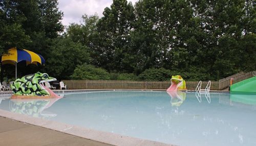 Two large frog sculptures at the edge of a swimming pool, surrounded by trees and a colorful umbrella.
