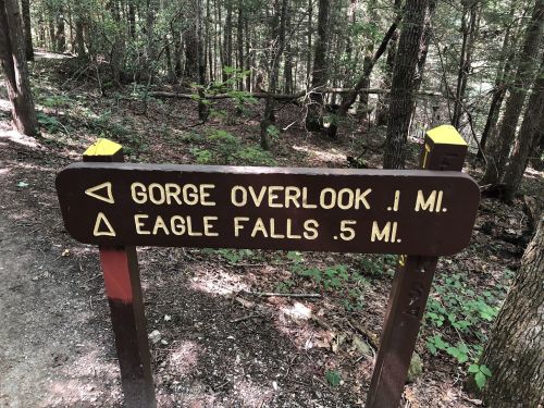 Trail sign indicating directions to Gorge Overlook (1 mile) and Eagle Falls (0.5 miles) in a wooded area.