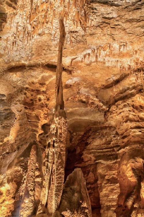 Stalactites and stalagmites in a cave, illuminated by warm lighting, showcasing intricate rock formations.