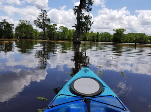 A kayak on calm water surrounded by trees and reflections of clouds in the sky.