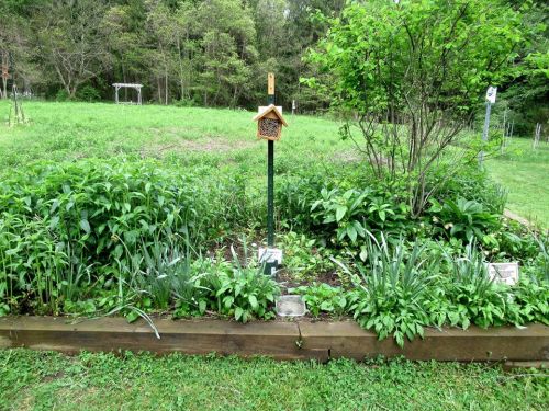 A lush garden bed filled with green plants, featuring a birdhouse on a post and a grassy background.