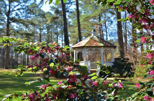 A white gazebo surrounded by vibrant flowers and lush greenery in a serene park setting.