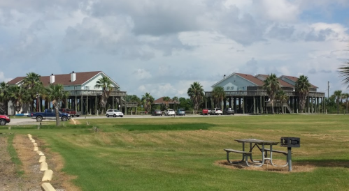 Two elevated houses with palm trees nearby, set against a cloudy sky, with a grassy area and picnic table in the foreground.