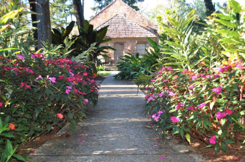 A pathway lined with vibrant pink flowers leads to a charming brick house surrounded by lush greenery.