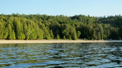 A serene lakeside view with calm water reflecting green trees and a sandy shore under a clear blue sky.