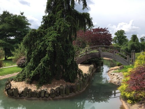 A wooden bridge arches over a serene pond, surrounded by lush greenery and colorful trees.