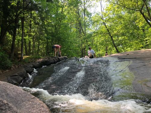 A group of people near a small waterfall in a lush, green forest, enjoying a sunny day outdoors.