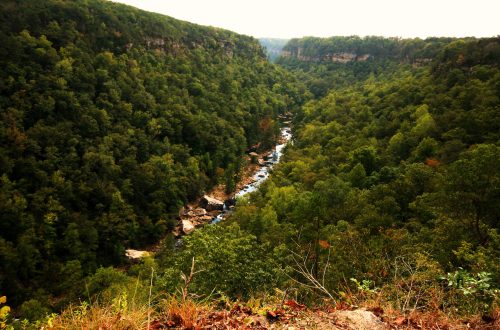A lush green valley with a winding river surrounded by dense trees and rocky outcrops under a hazy sky.