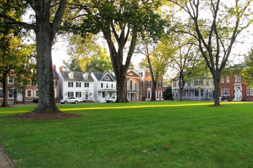 A row of historic houses lined along a grassy area, framed by large trees and bathed in warm sunlight.