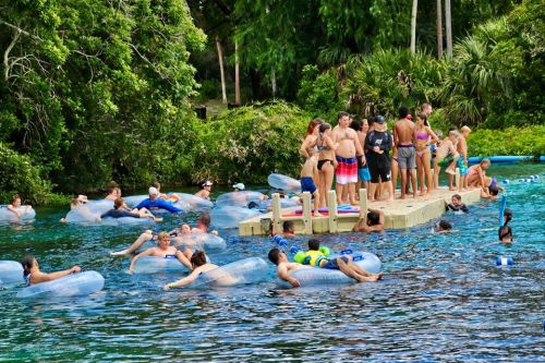 A lively scene of people enjoying a river, some floating on tubes and others gathered on a wooden platform.