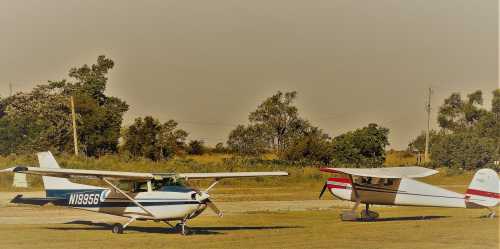 Two small airplanes parked on a grassy airstrip, surrounded by trees and a clear sky.