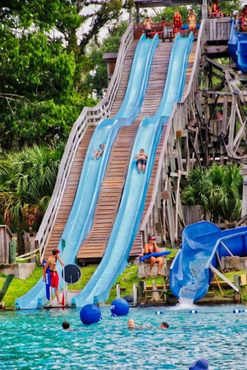 Two water slides at a park with people sliding down, lifeguards on duty, and a pool area surrounded by greenery.