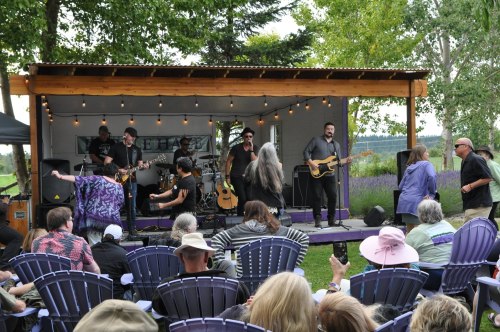 A live band performs on stage while an audience enjoys the music in a park setting with trees and lavender.