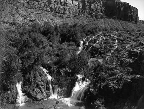 A black and white image of a waterfall cascading down rocky terrain, surrounded by lush vegetation and cliffs.