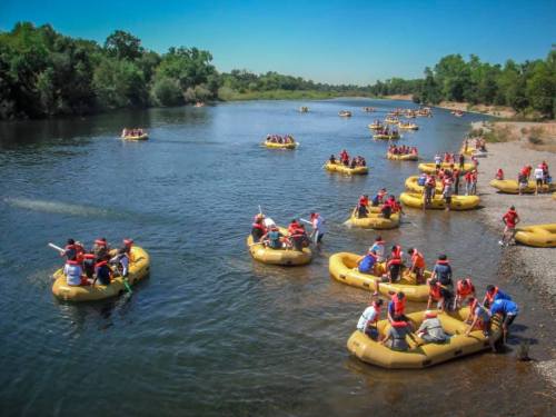A river scene with multiple yellow rafts and people in life jackets enjoying a sunny day outdoors.