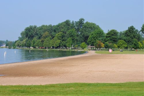 A serene beach scene with sandy shore, calm water, and lush green trees lining the shore under a clear blue sky.