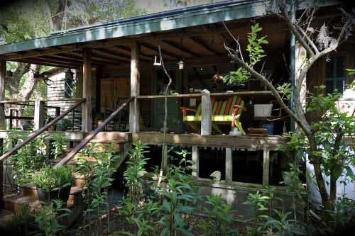 A rustic wooden porch with colorful chairs, surrounded by greenery and trees, inviting a cozy atmosphere.