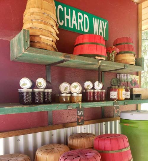 Shelves displaying jars of jam and baskets in a rustic setting, with a sign reading "Orchard Way" above.