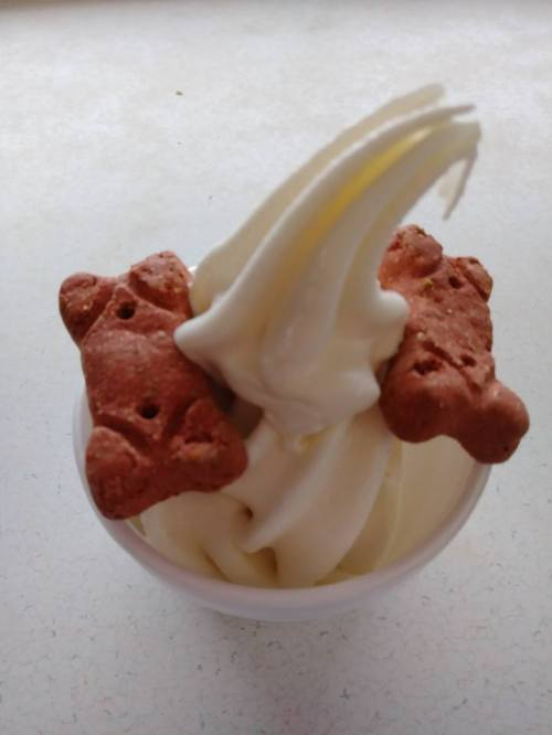 A cup of soft-serve ice cream topped with two brown cookie pieces shaped like bears.