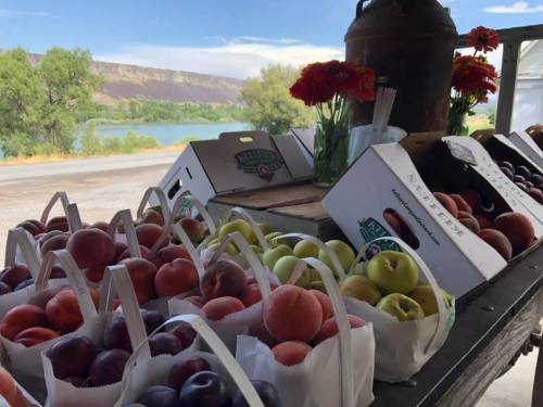 A rustic stand displays various apples and plums in boxes, with flowers and a scenic river view in the background.