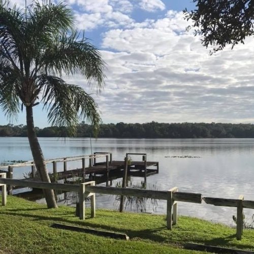 A serene lake view with a palm tree, wooden dock, and fluffy clouds reflecting in the water.