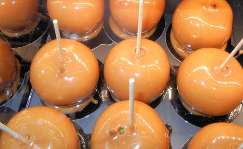 A close-up of shiny caramel apples on sticks, arranged in a neat pattern on a black surface.