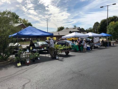 A vibrant farmers market with tents, vendors, and shoppers in a parking lot under a blue sky.